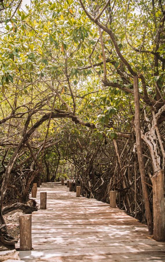 Uman Glamping & Cenote Tulum Hotel Buitenkant foto