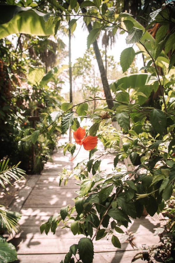 Uman Glamping & Cenote Tulum Hotel Buitenkant foto
